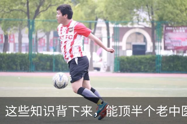 这些知识背下来，能顶半个老中医!