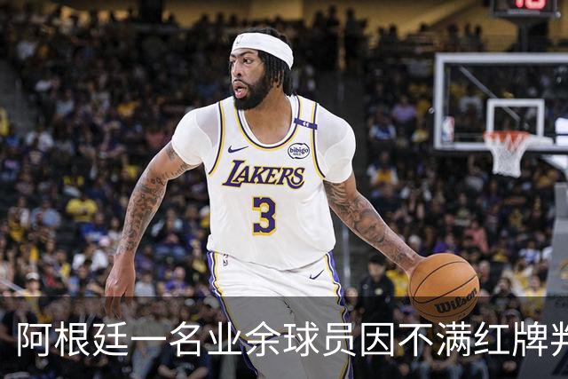 阿根廷一名业余球员因不满红牌判罚，挥拳击倒裁判后被捕